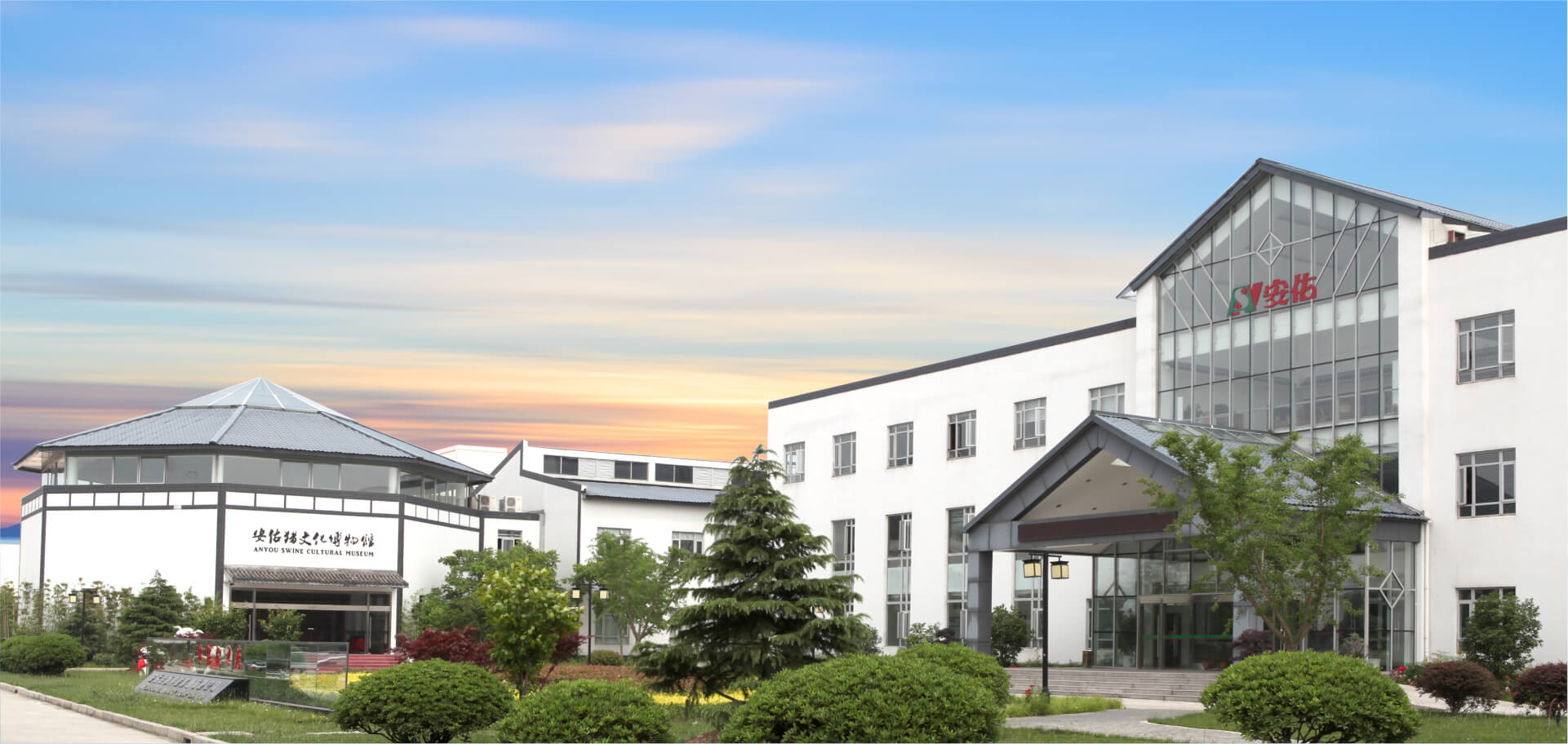 Anyou Group section 2