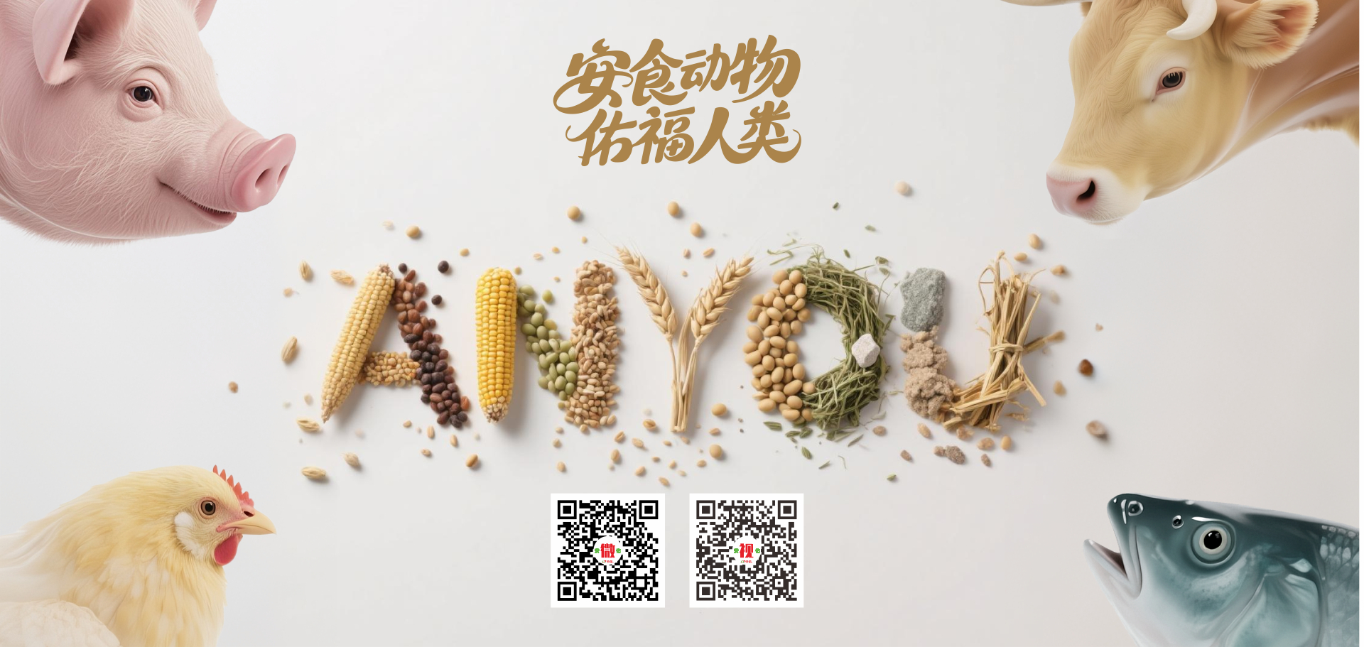 安佑动物 佑福人类