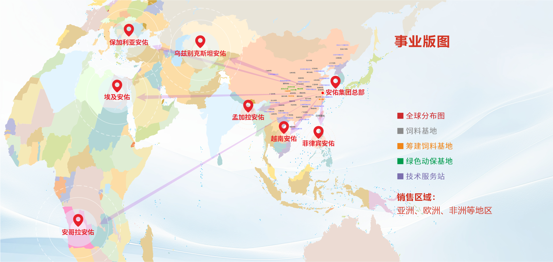 Anyou Group section 3